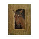 Inquisitive (Print Only) thumbnail