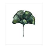 Botanical Illustration Ginko (Print Only) thumbnail