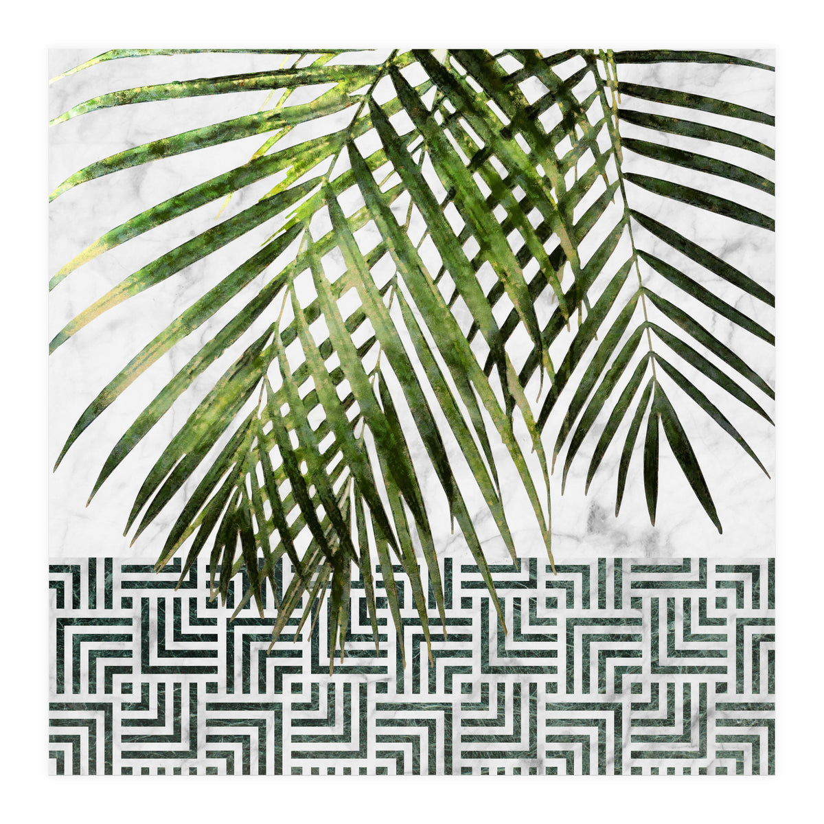Palm Leaves On White Marble And Tiles (Print Only)