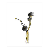 Flower Minimal Black And Gold 04 (Print Only) thumbnail