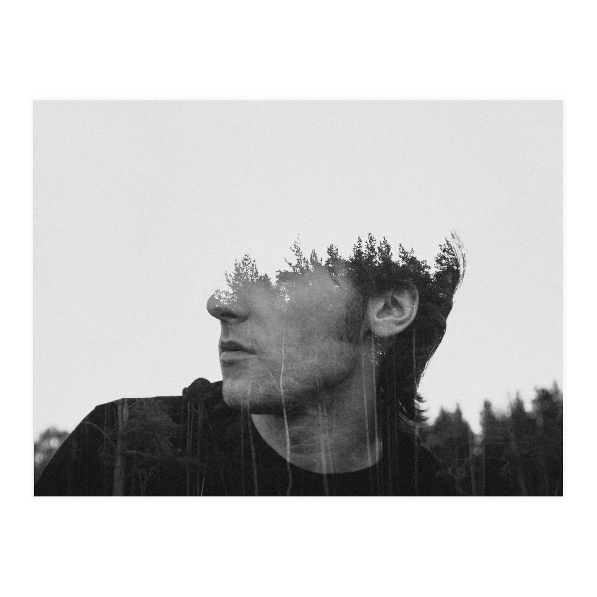 Environmentalist (Print Only)