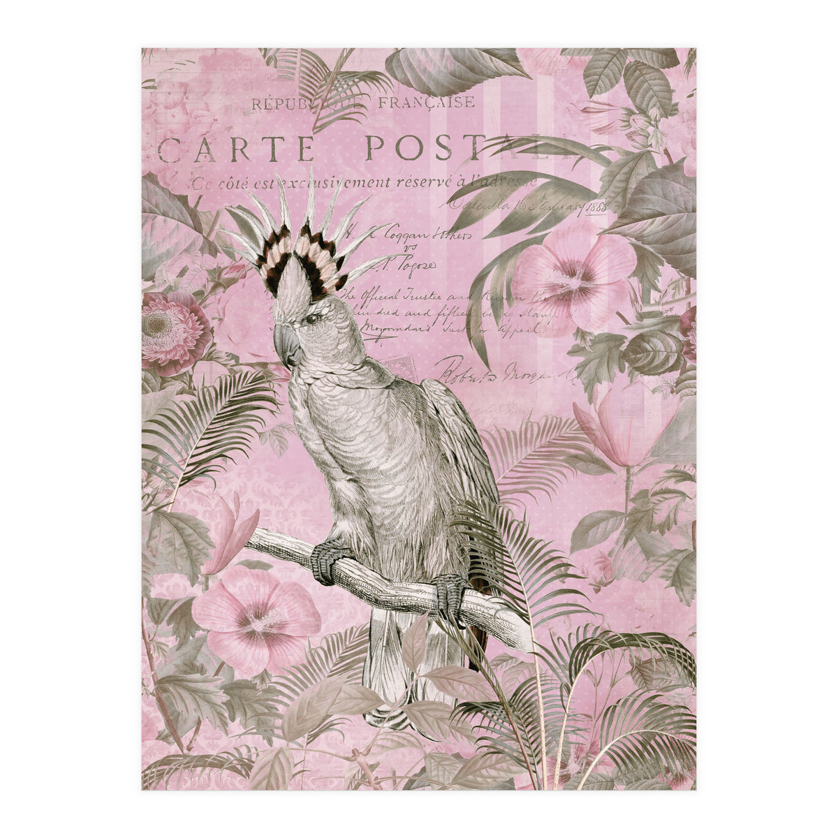 Jungle Cockatoo Pink (Print Only)