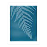 Pteridopsida 2 (Print Only) thumbnail