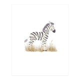 Zebra  (Print Only) thumbnail