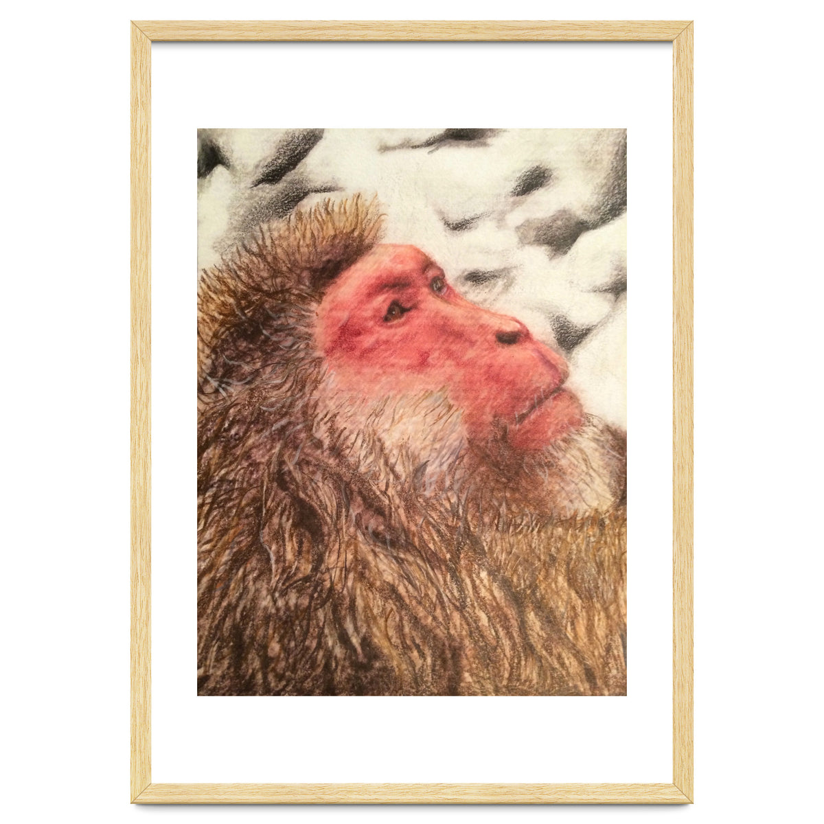 Japanese Macaque At The Onsen