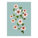 Sadabahar (Print Only) thumbnail