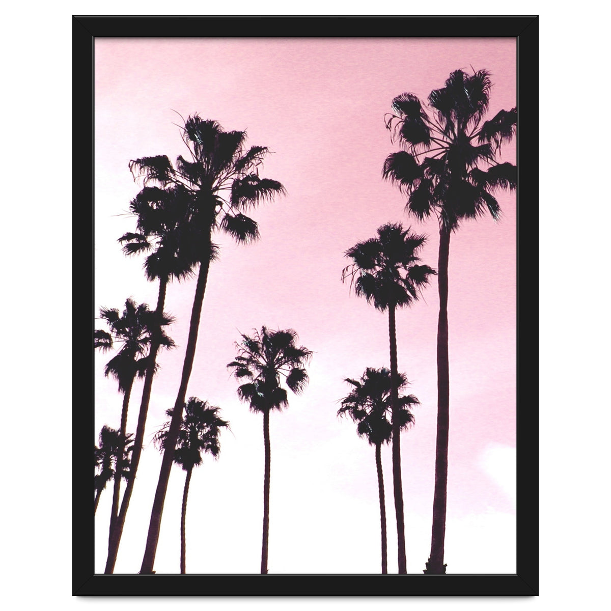 Palms & Sunset