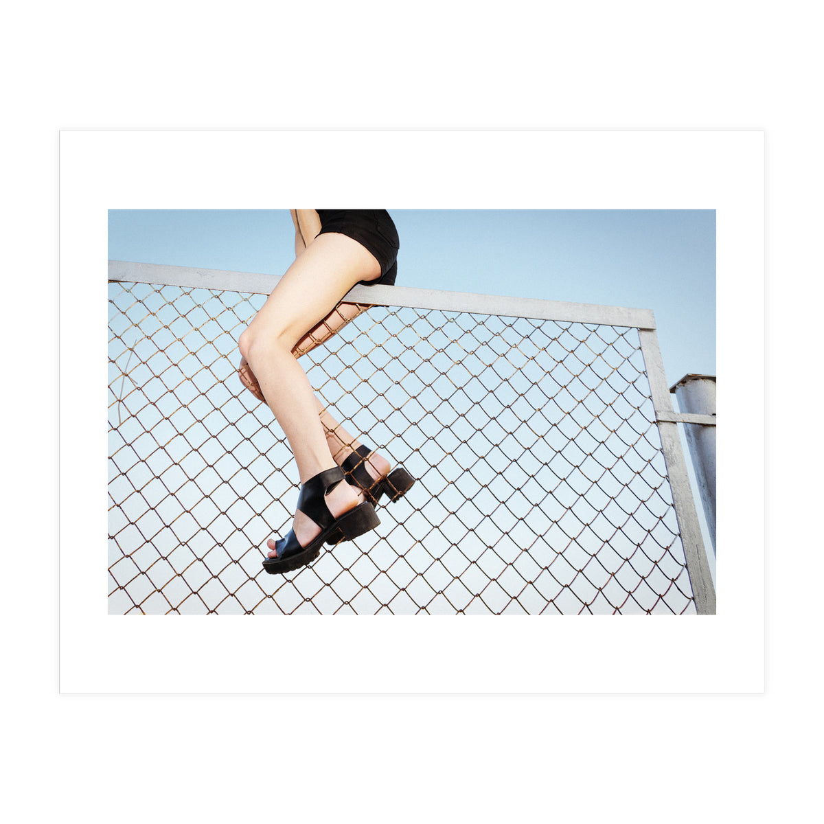 Hoping Fences (Print Only)