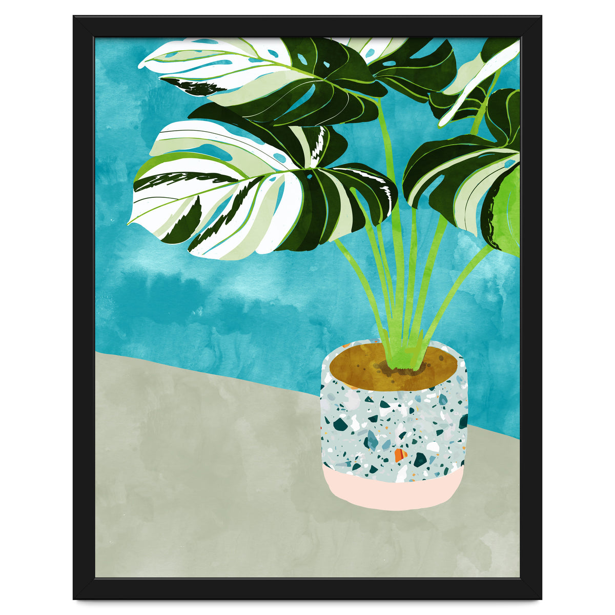 Variegated Monstera