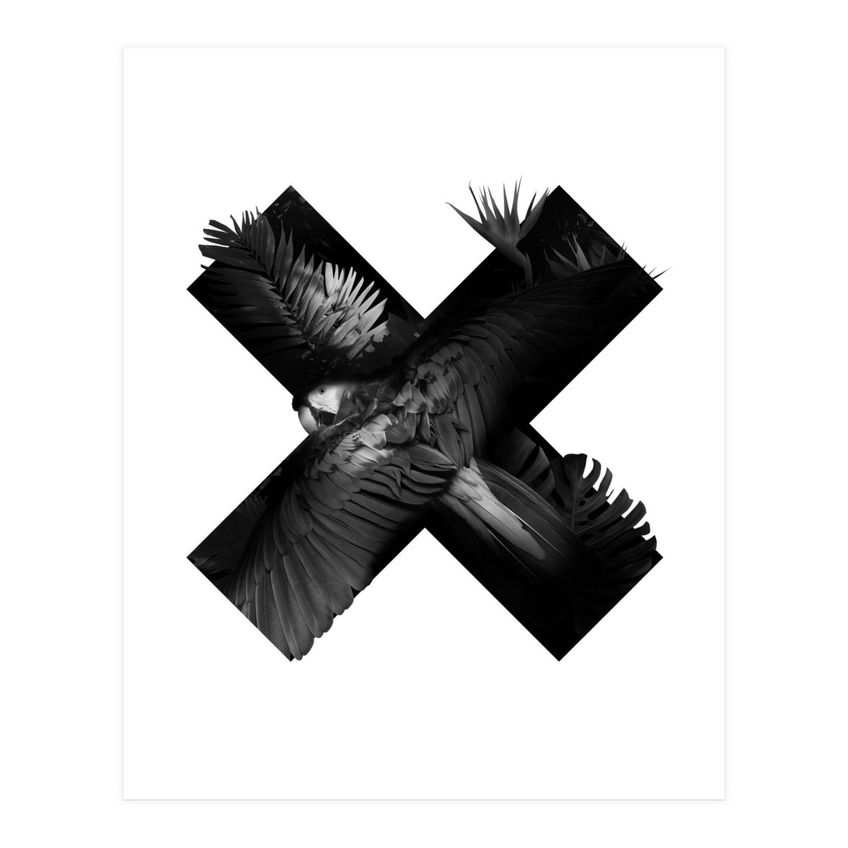 exotic nature (Print Only)