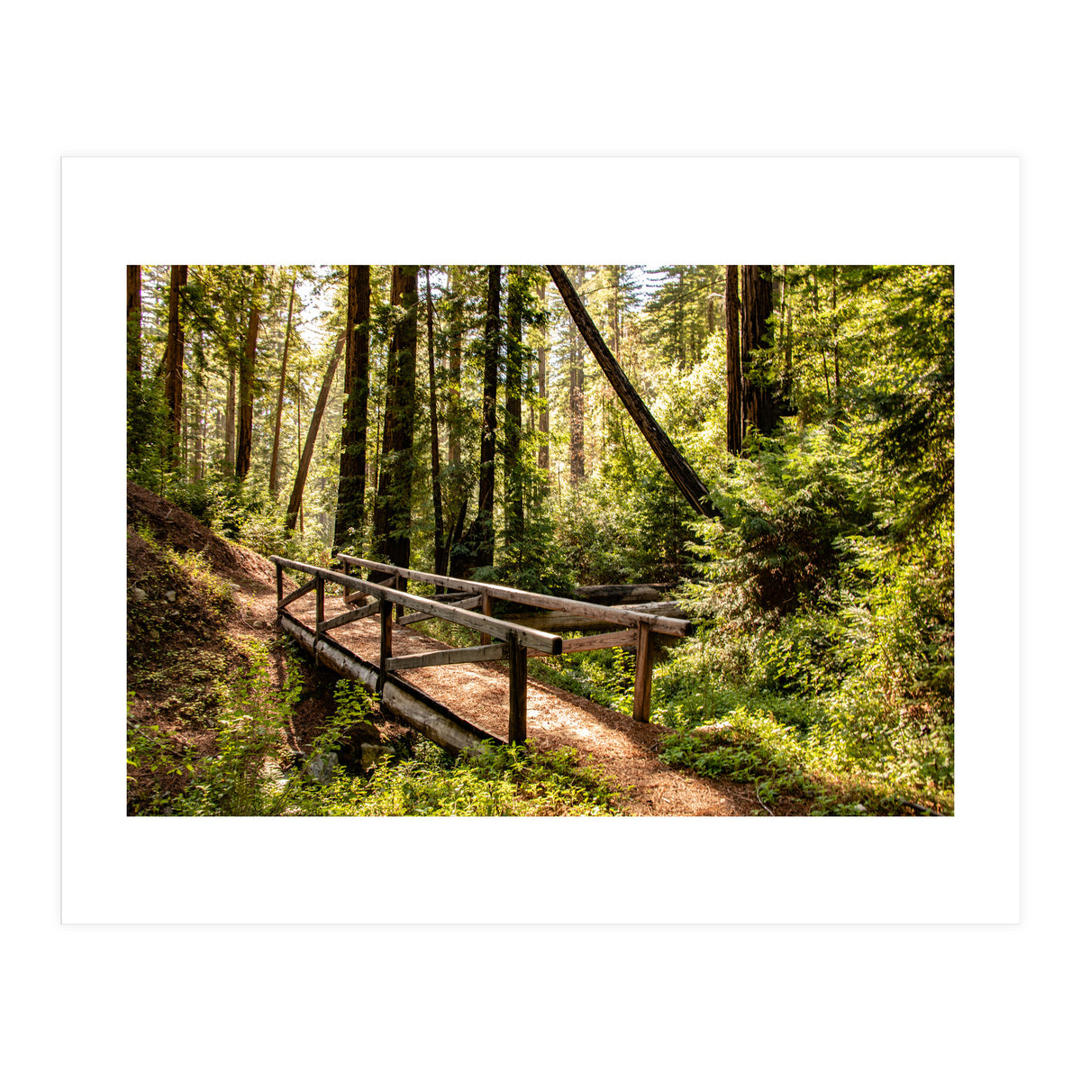 Ewoldsen Trail Bridge  (Print Only)