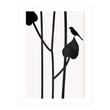 The Bird Noir (Print Only) thumbnail