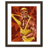 Hulk Hogan WWE