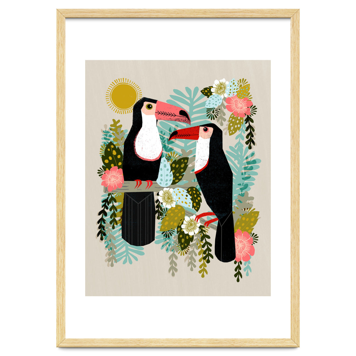 Toucans