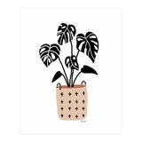 Minimalism Plant III (Print Only) thumbnail