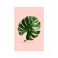 Monstera Ant (Print Only)