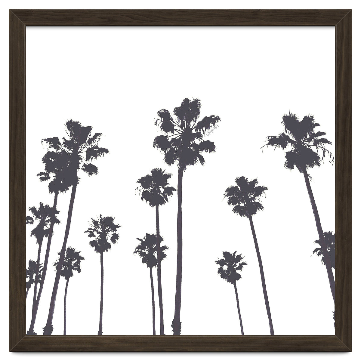 Palms & Sunset-Minimal B&W