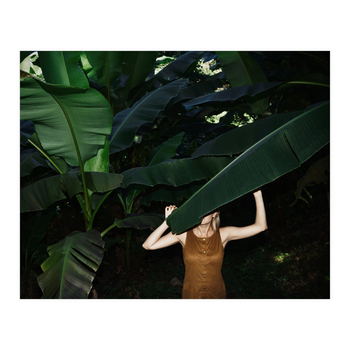 Facepalm (Print Only)