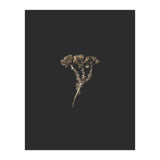 Gold Burst Botanicals (Print Only) thumbnail