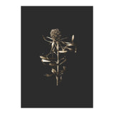 Golden Botanicals -  Square (Print Only) thumbnail