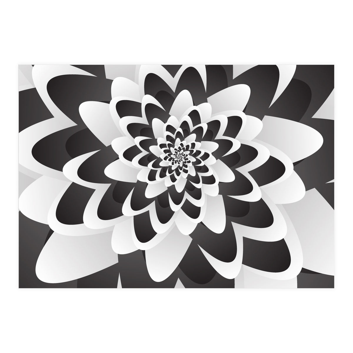 Mono Chrome Flower Spiral   (Print Only)