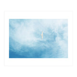 Seagull (Print Only) thumbnail