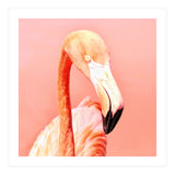 Pink Paradise (Print Only) thumbnail