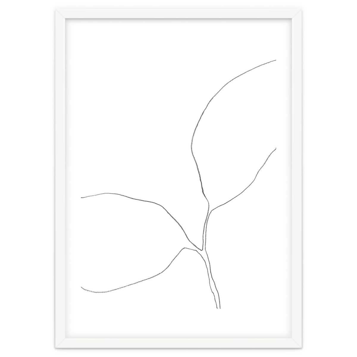 Seedling Leaning Left