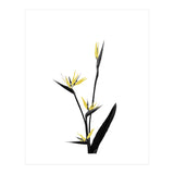 Flower Minimal Black And Gold 05 (Print Only) thumbnail