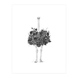 Floral Ostrich (Print Only) thumbnail