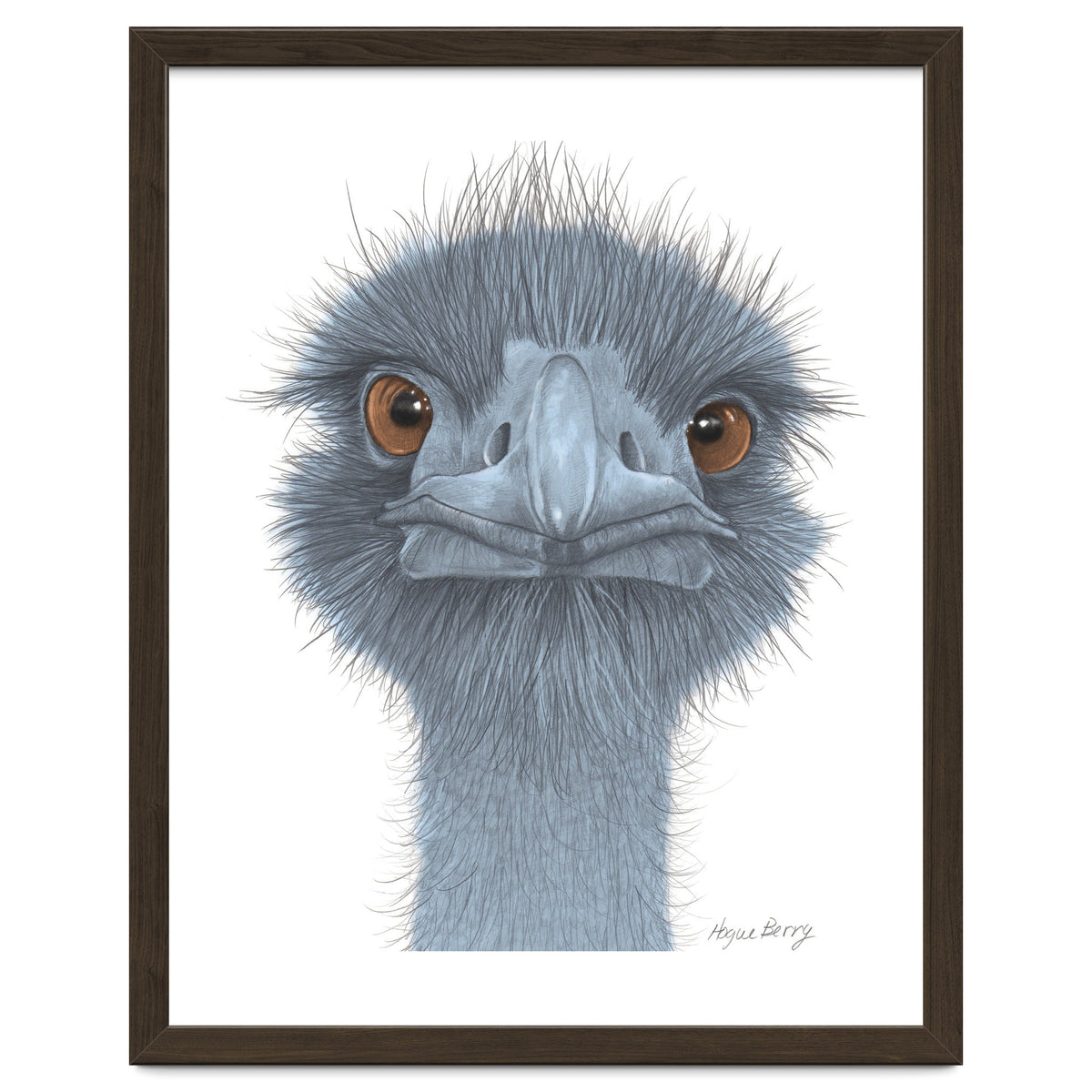 The Blue Emu
