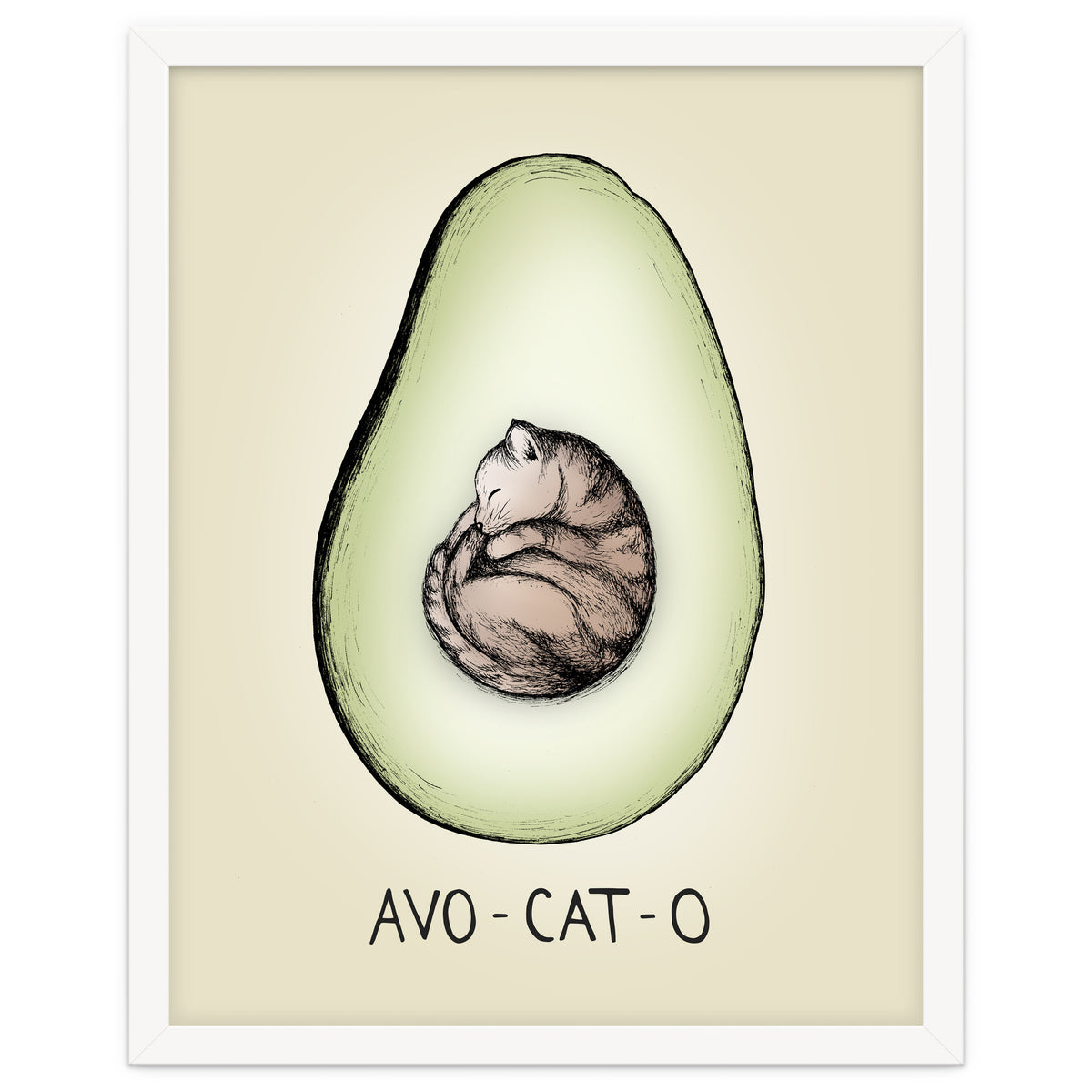 Avo-cat-o