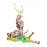 Floral May Stag (Print Only) thumbnail