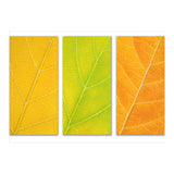 Autumn Leaves (Print Only) thumbnail