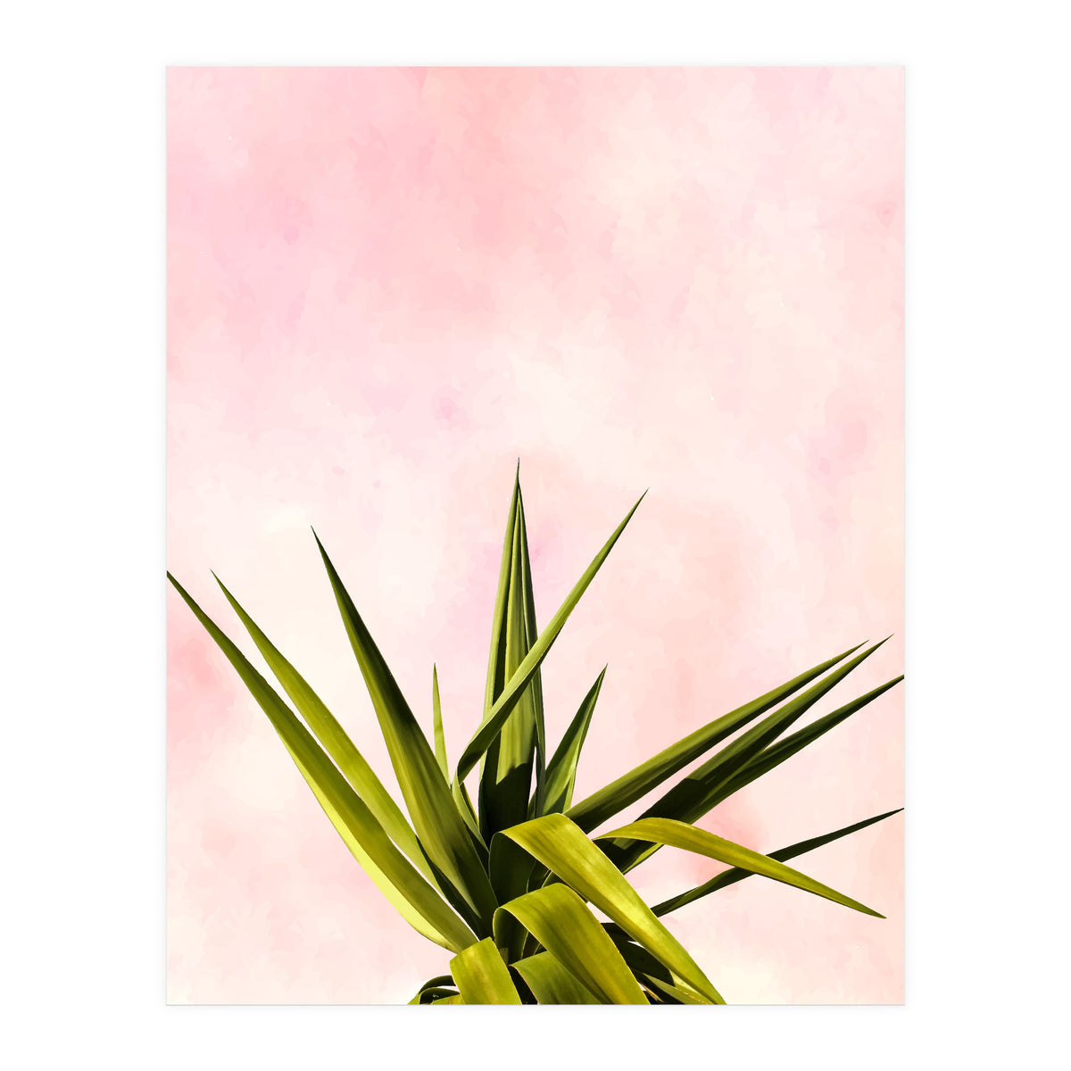 Joy Of Dreams (Print Only)