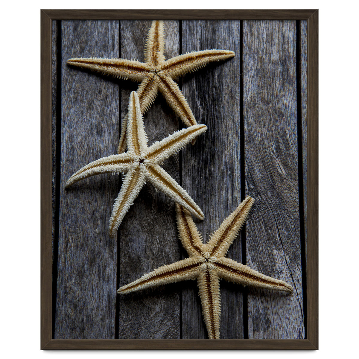 Starfishes in wooden