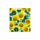 Sunflower (Print Only) thumbnail