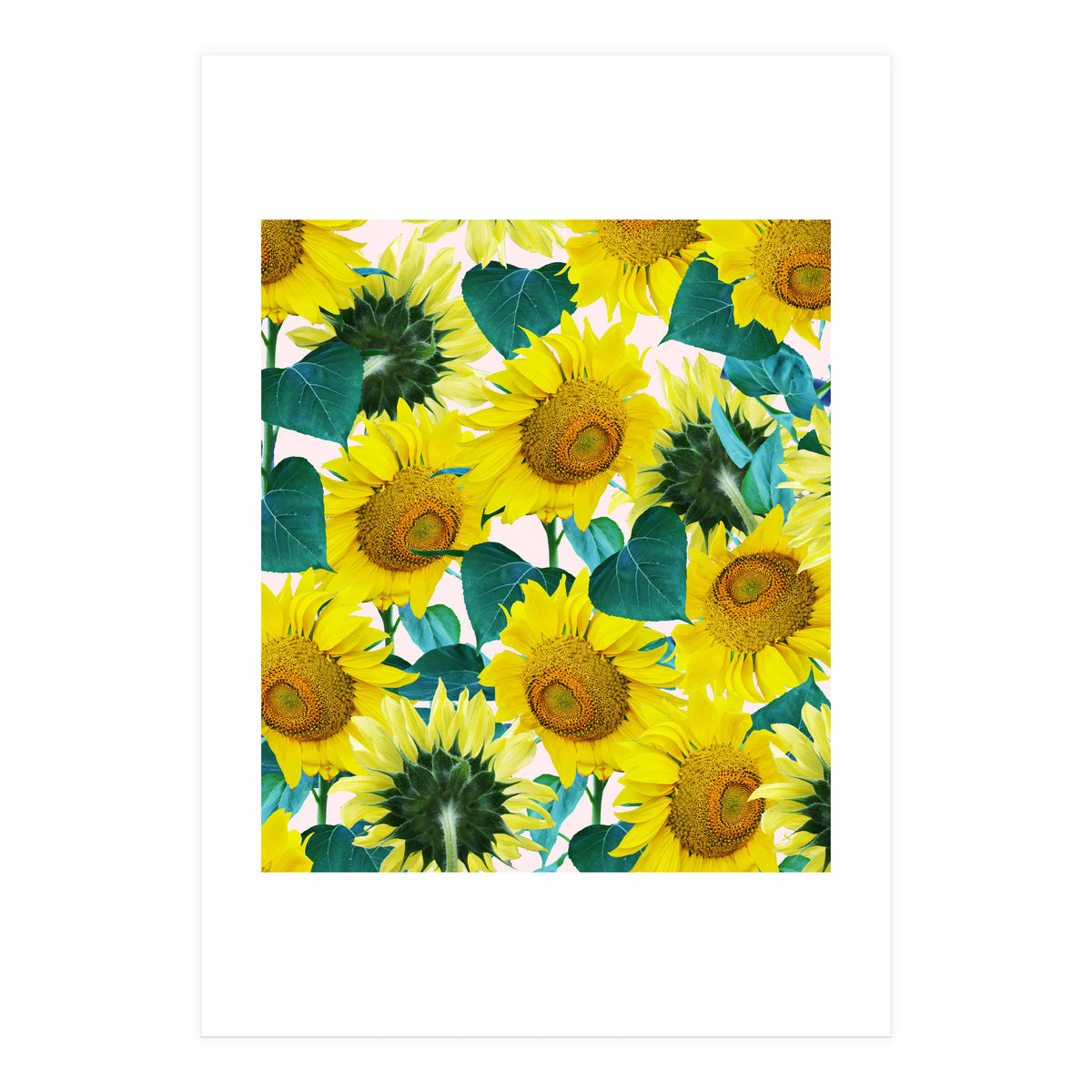 Sunflower (Print Only)