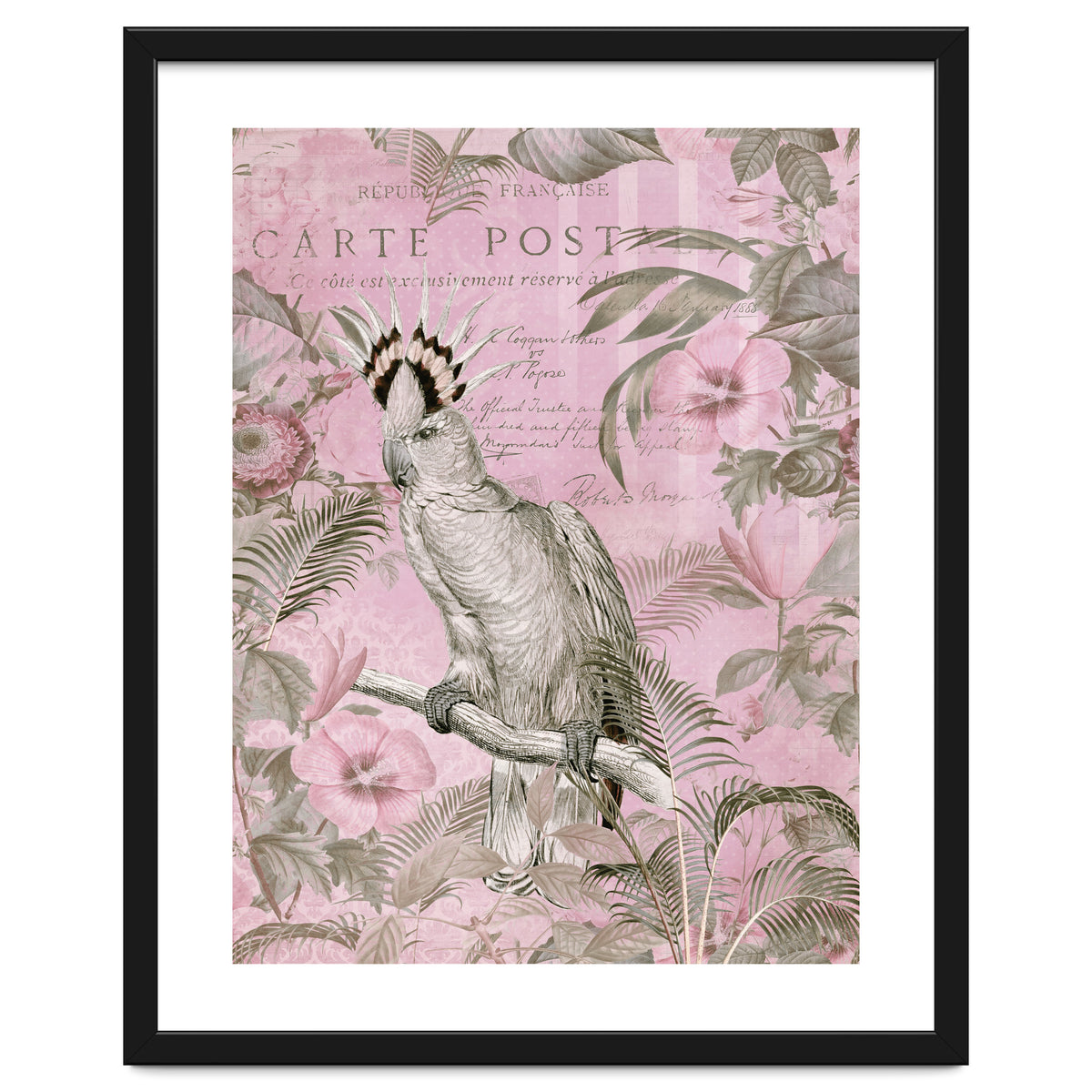 Jungle Cockatoo Pink