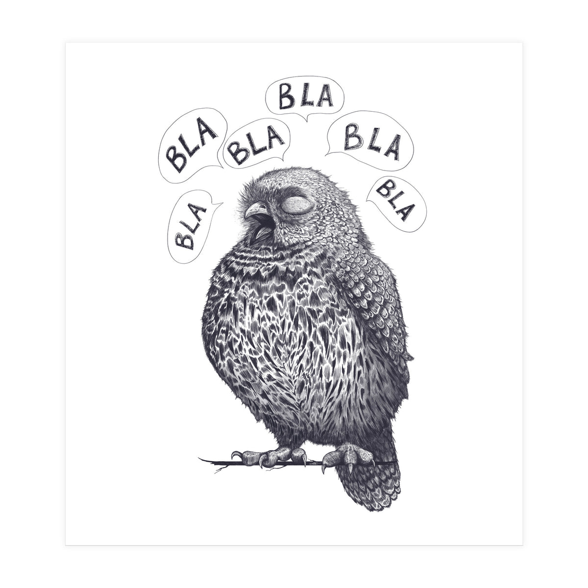 Owl Bla Bla Bla (Print Only)