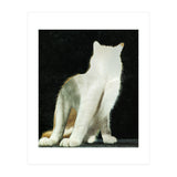 KatzenJammer 11 (Print Only) thumbnail