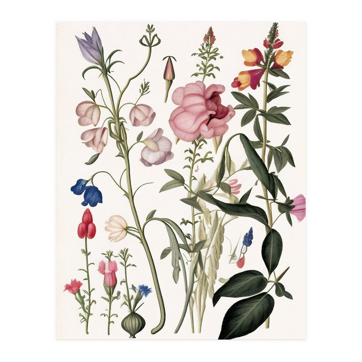 Flowers Botanical Vintage Illustration (Print Only)