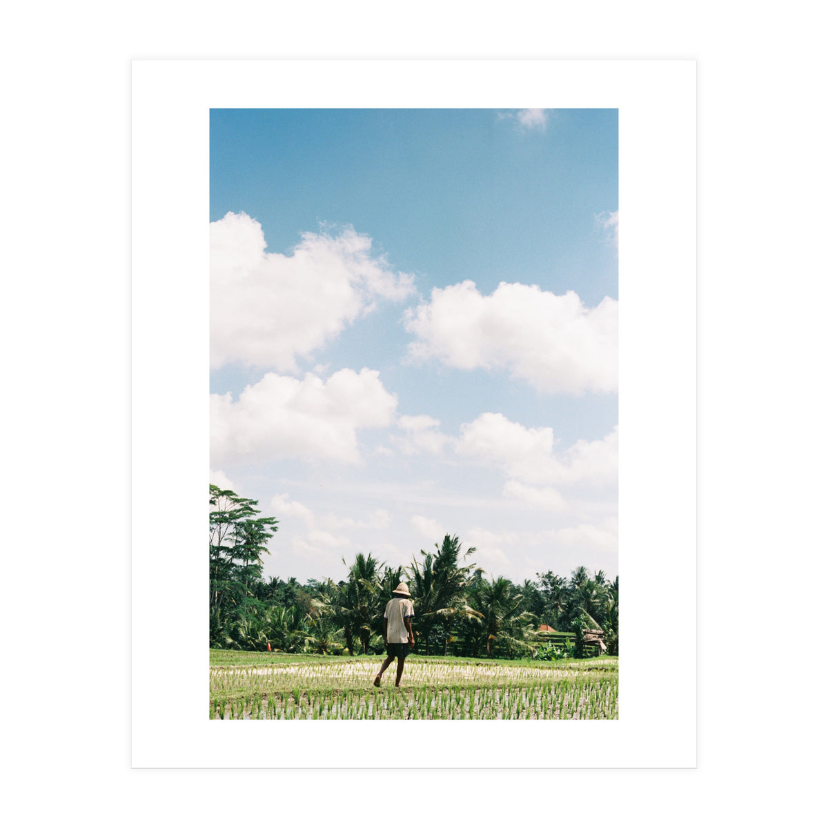UBUD (Print Only)