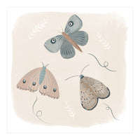 Moths in the moonlight  (Print Only)