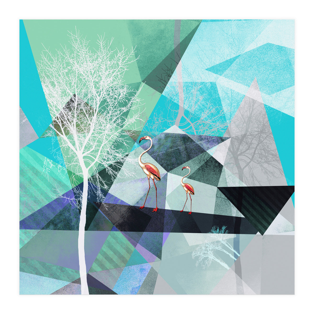 FLAMINGOS P19-A2   (Print Only)