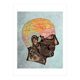 Brain Anatomy (Print Only) thumbnail