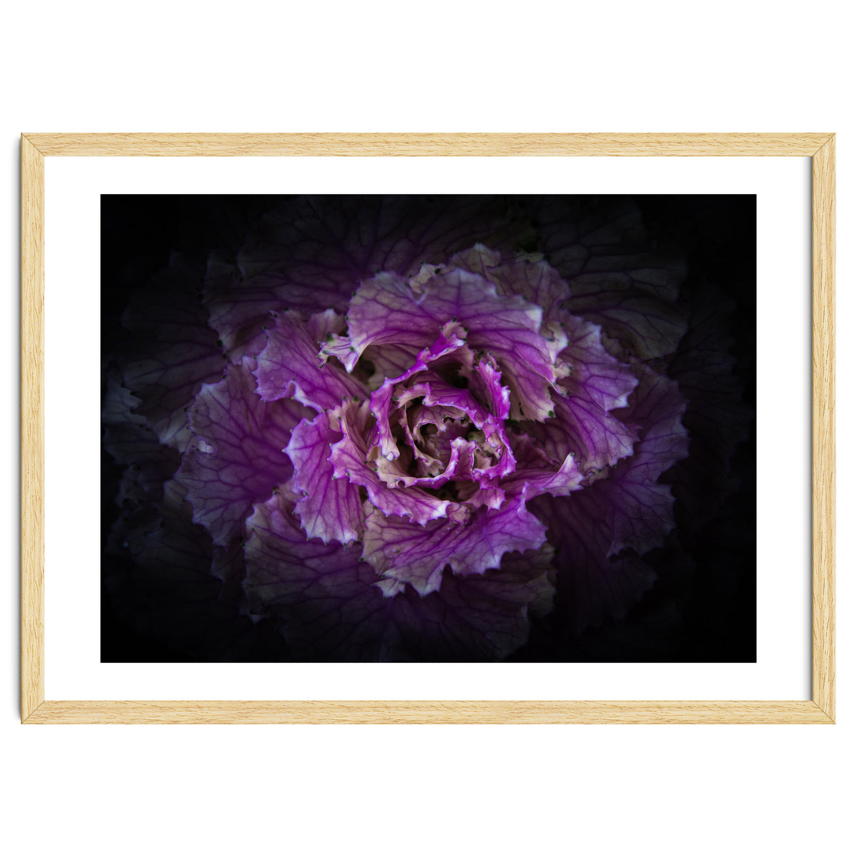 Backyard Flowers No 42 Color Version