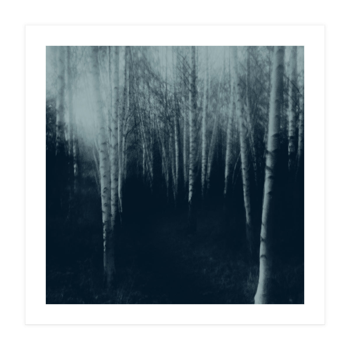 deep veins III (Print Only)