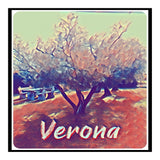 Olive Tree In Verona (Print Only) thumbnail
