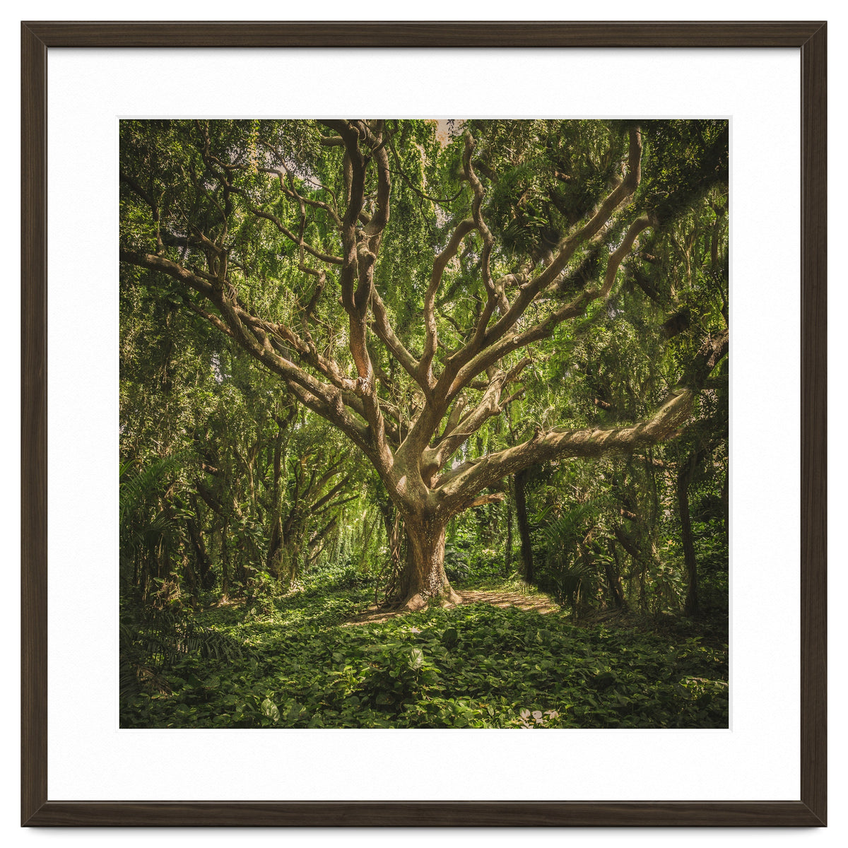 Spirits inside the wood